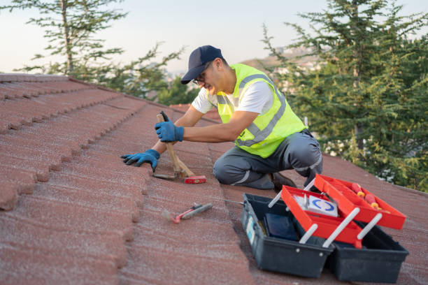 Best Roof Maintenance Services  in Collierville, TN