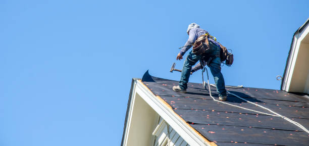 Best Storm Damage Roof Repair  in Collierville, TN